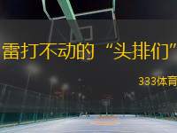 雷打不動的“頭排們”