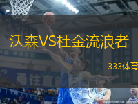 沃森VS杜金流浪者