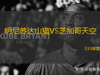 明尼蘇達(dá)山貓VS芝加哥天空