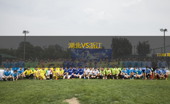 湖北VS浙江